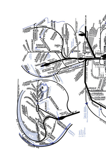 OP-Handbuch: Grundlagen Instrumentarium OP-Ablauf