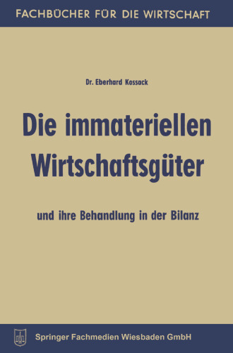 Die immateriellen Wirtschaftsgüter und ihre Behandlung in der Bilanz