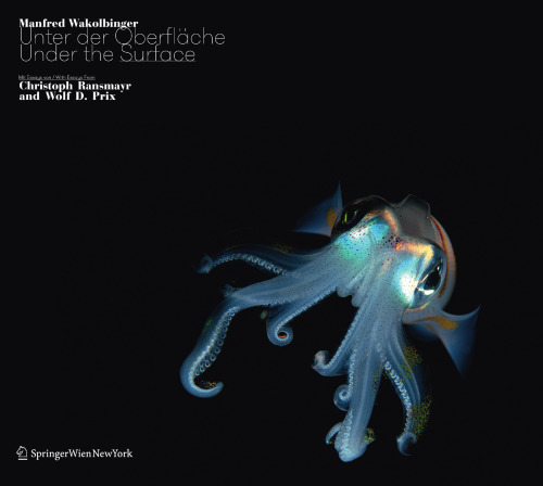 Unter der Oberfläche / Under the Surface