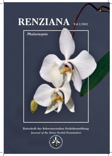 Phalaenopsis
