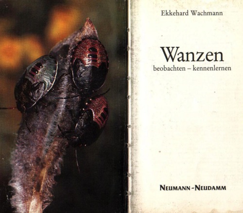 Wanzen : beobachten - kennenlernen