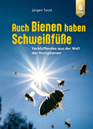 Auch Bienen haben Schweißfüße: Verblüffendes aus der Welt der Honigbienen