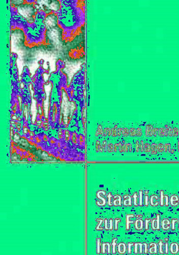 Staatliche Initiativen zur Förderung der Informationsgesellschaft: Multimedia-Pilotprojekte in Deutschland und den USA in ihrem politischen Kontext
