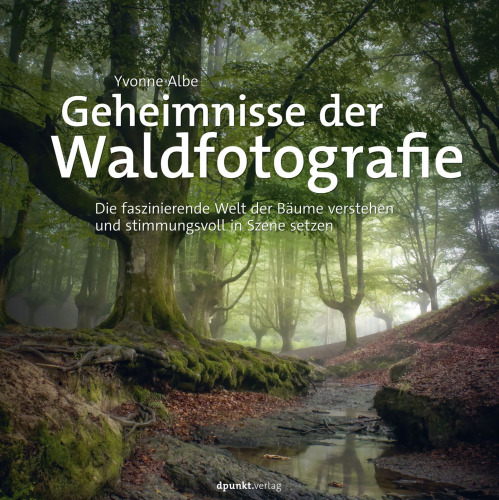 Geheimnisse der Waldfotografie: Die faszinierende Welt der Bäume verstehen und stimmungsvoll in Szene setzen