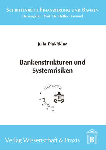 Bankenstrukturen und Systemrisiken: Eine ökonomische Analyse Russlands im internationalen Vergleich