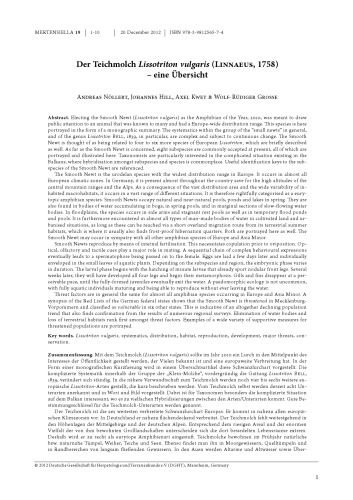 Der Teichmolch Lissotriton vulgaris (Linnaeus 1758) – Eine Übersicht