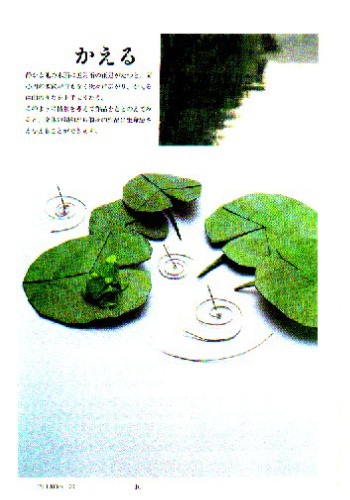 Sosaku Origami - Creative Origami