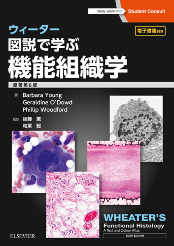 ウィーター 図説で学ぶ機能組織学 原著第6版