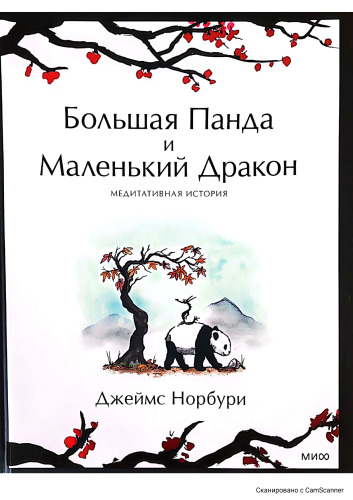Большая Панда и Маленький Дракон: медитативная история