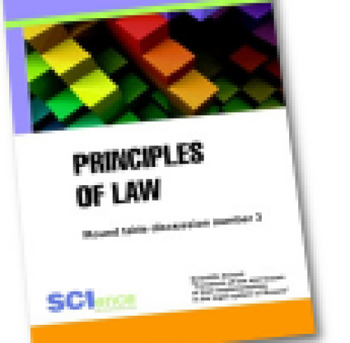 Principles of law: round table discussion number 3