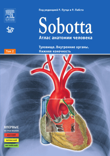 Sobotta. Атлас анатомии человека. Том 2. Туловище. Внутренние органы. Нижняя конечность