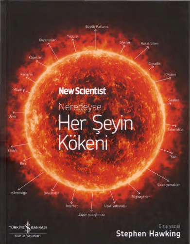 Neredeyse Her Şeyin Kökeni