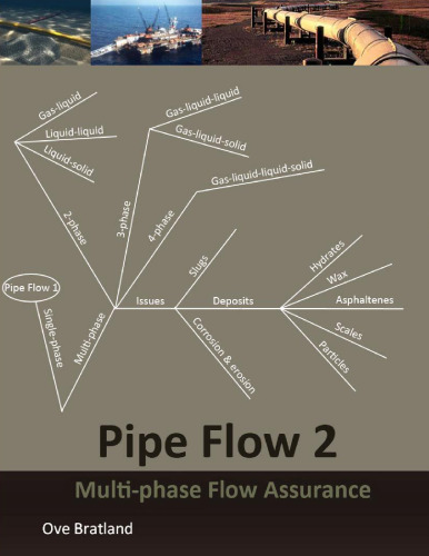 Pipe flow 2. Multi-phase flow assurance