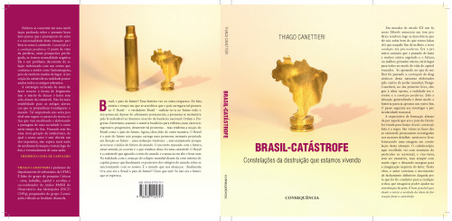 Brasil-Catástrofe: constelações da destruição que estamos vivendo