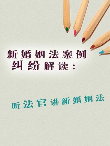 新婚姻法案例纠纷解读 (The new Marriage Law Dispute Cases Interpretation): 听法官讲新婚姻法 (about the new marriage law)