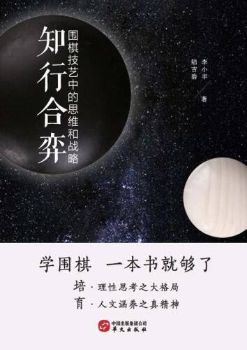 知行合弈：围棋技艺中的思维和战略