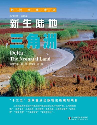 新生陆地 三角洲