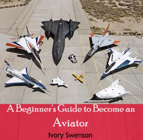 A Beginner's Guide to Become an Aviator