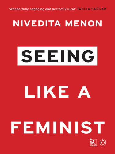 Seeing Like a Feminist