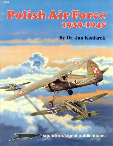 Polish Air Force, 1939 through German eyes