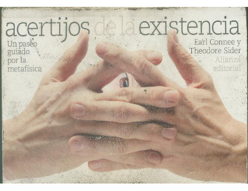 Acertijos de la existencia : un paseo guiado por la metafísica