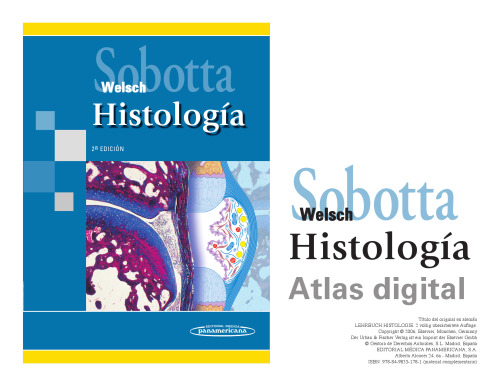 Histología [de] Sobotta