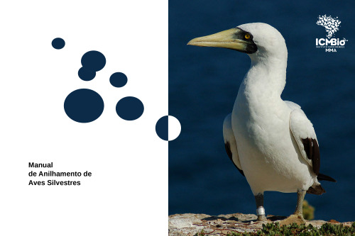 Manual de anilhamento de aves silvestres