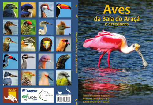 Aves da Baía do Araçá e arredores