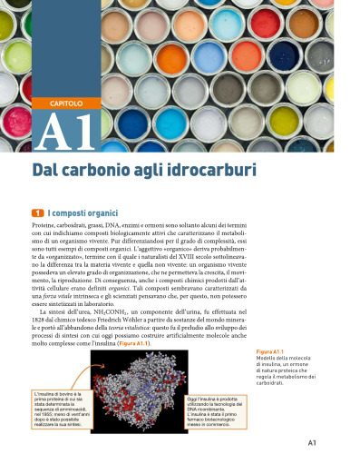 Carbonio, metabolismo, biotech. Chimica organica, biochimica e biotecnologie