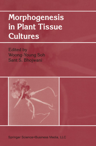 Morphogenesis in Plant Tissue Cultures