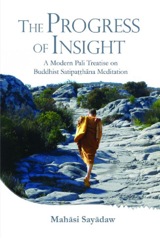 The Progress of Insight