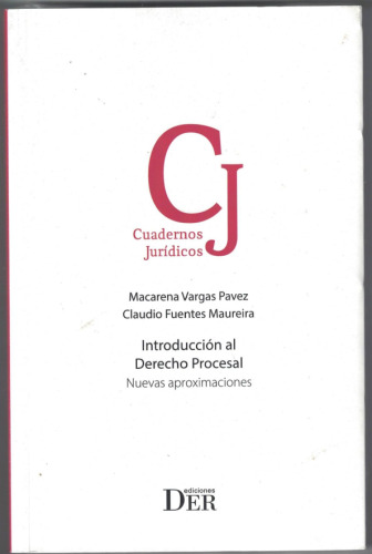 Introduccion al Derecho Procesal: Nuevas aproximaciones