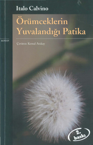 Örümceklerin Yuvalandığı Patika