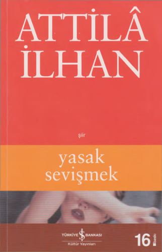 Yasak Sevişmek