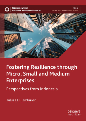 Fostering Resilience through Micro, Small and Medium Enterprises: Perspectives from Indonesia