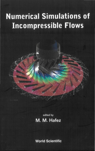 Numerical simulations of incompressible flows