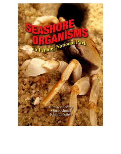 Seashore Organism in Penang National Park