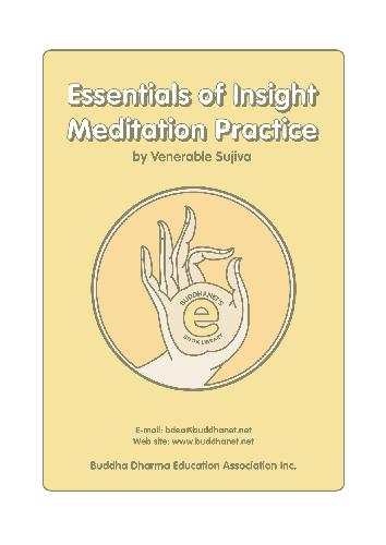 Essentials of Insight Meditation Practice: A Pragmatic Approach to Vipassana