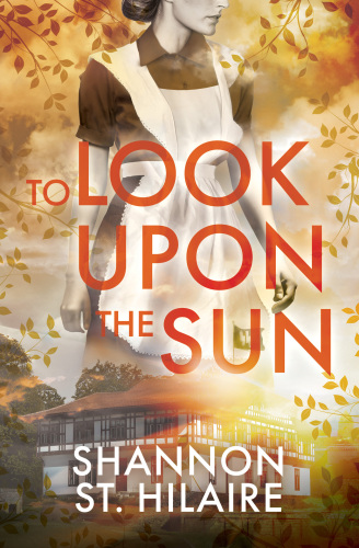 To Look Upon The Sun