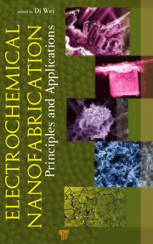 Electrochemical Nanofabrication: Principles and Applications