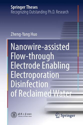 Nanowire-assisted Flow-through Electrode Enabling Electroporation Disinfection of Reclaimed Water (Springer Theses)