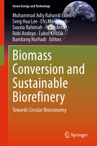 Biomass Conversion and Sustainable Biorefinery: Towards Circular Bioeconomy (Green Energy and Technology)