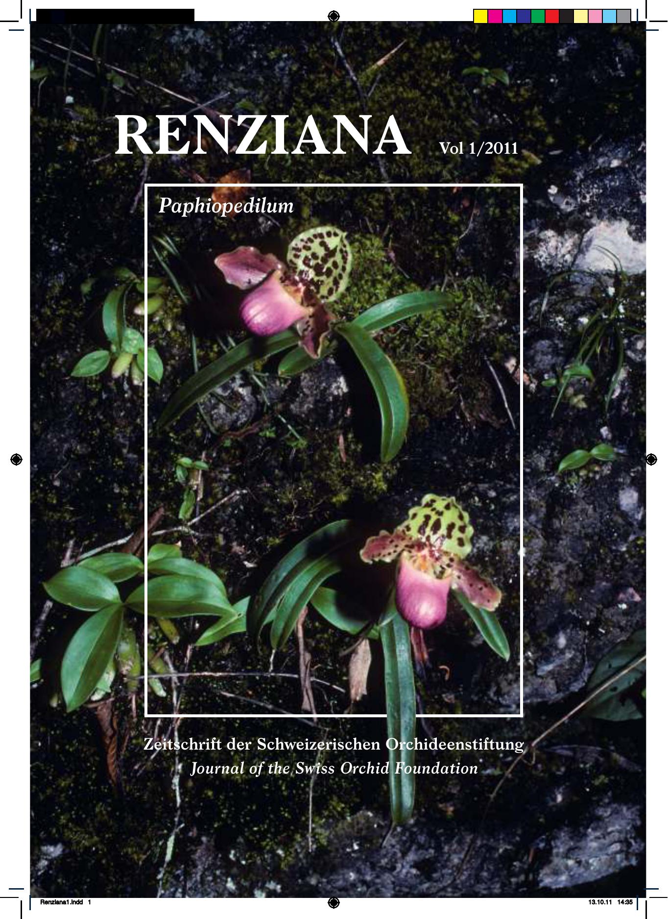 The Genus Paphiopedilum