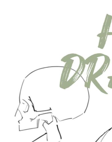 Head Drawing