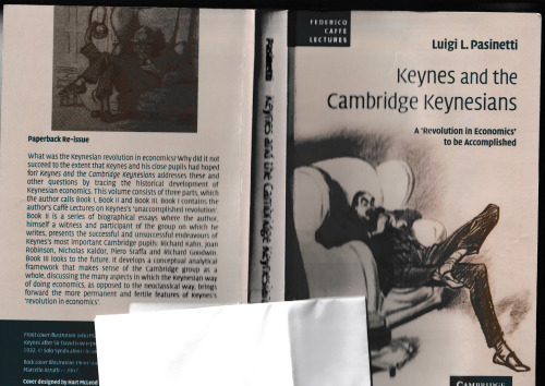Keynes and the Cambridge Keynesians