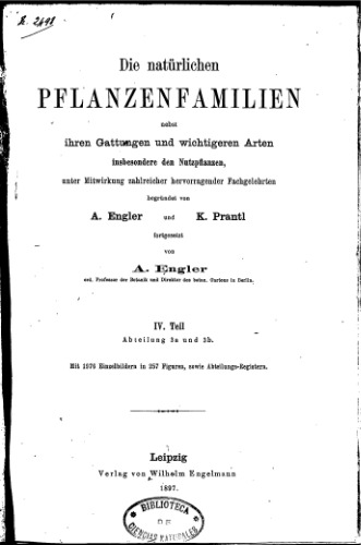 Die natürlichen PFLANZENFAMILIEN. Boraginaceae