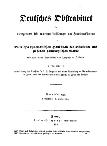 Äpfel