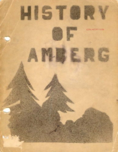 The History of Amberg