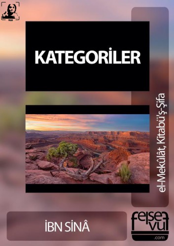 Kategoriler (El-Mekûlât, Kitabü-ş Şifa)