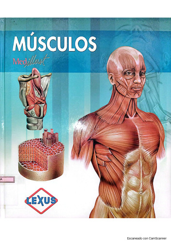 Músculos